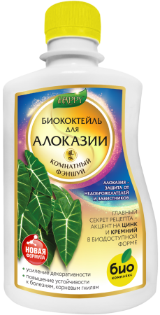 Алоказия_250 лицо