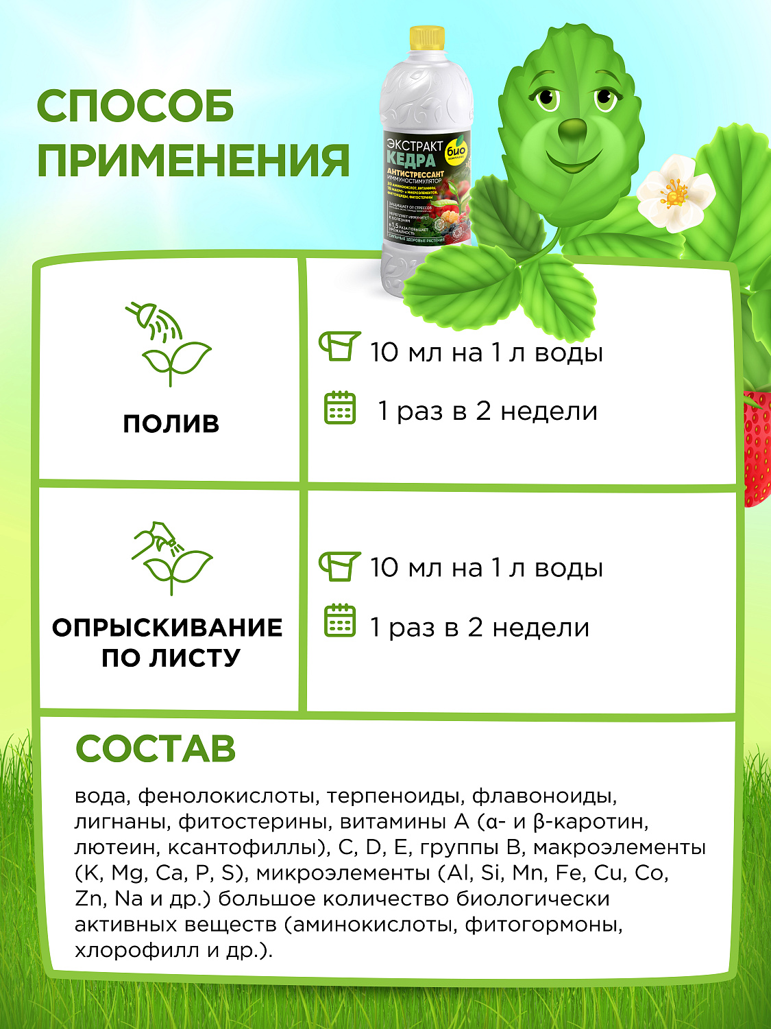 БИО-комплекс Экстракт Кедра