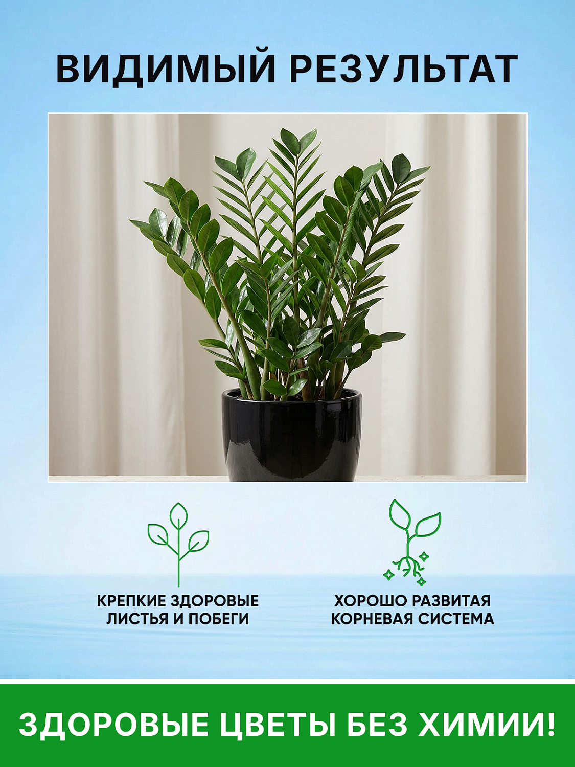 Биококтейль для замиокулькаса, комнатный фэншуй ТМ HAPPY