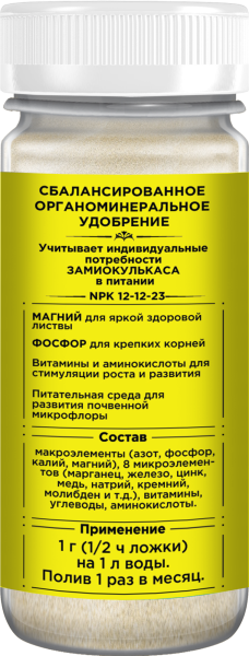 Mockup_Замиокулькас_03