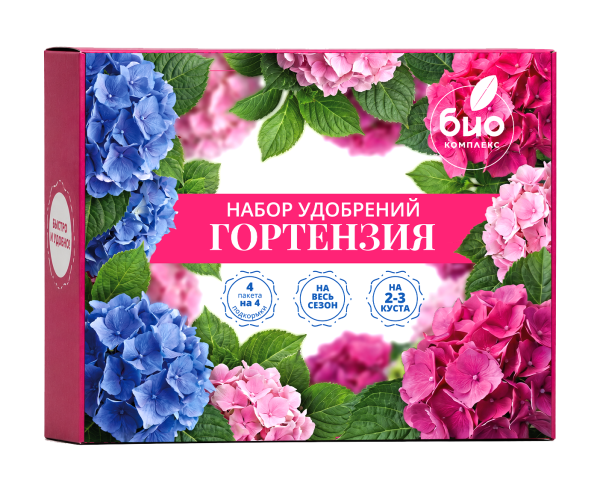 Гортензия
