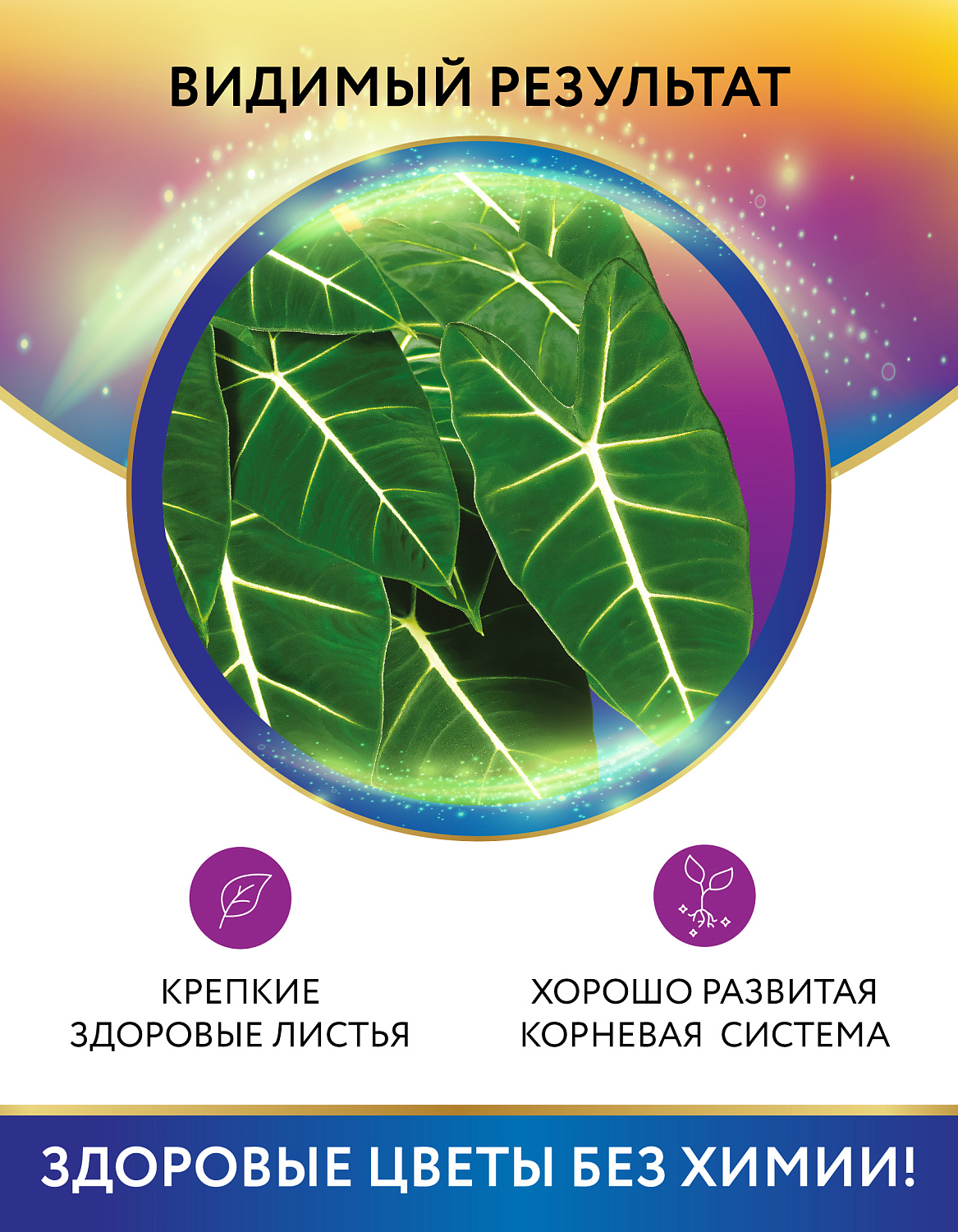 Биококтейль для алоказии, комнатный фэншуй ТМ HAPPY