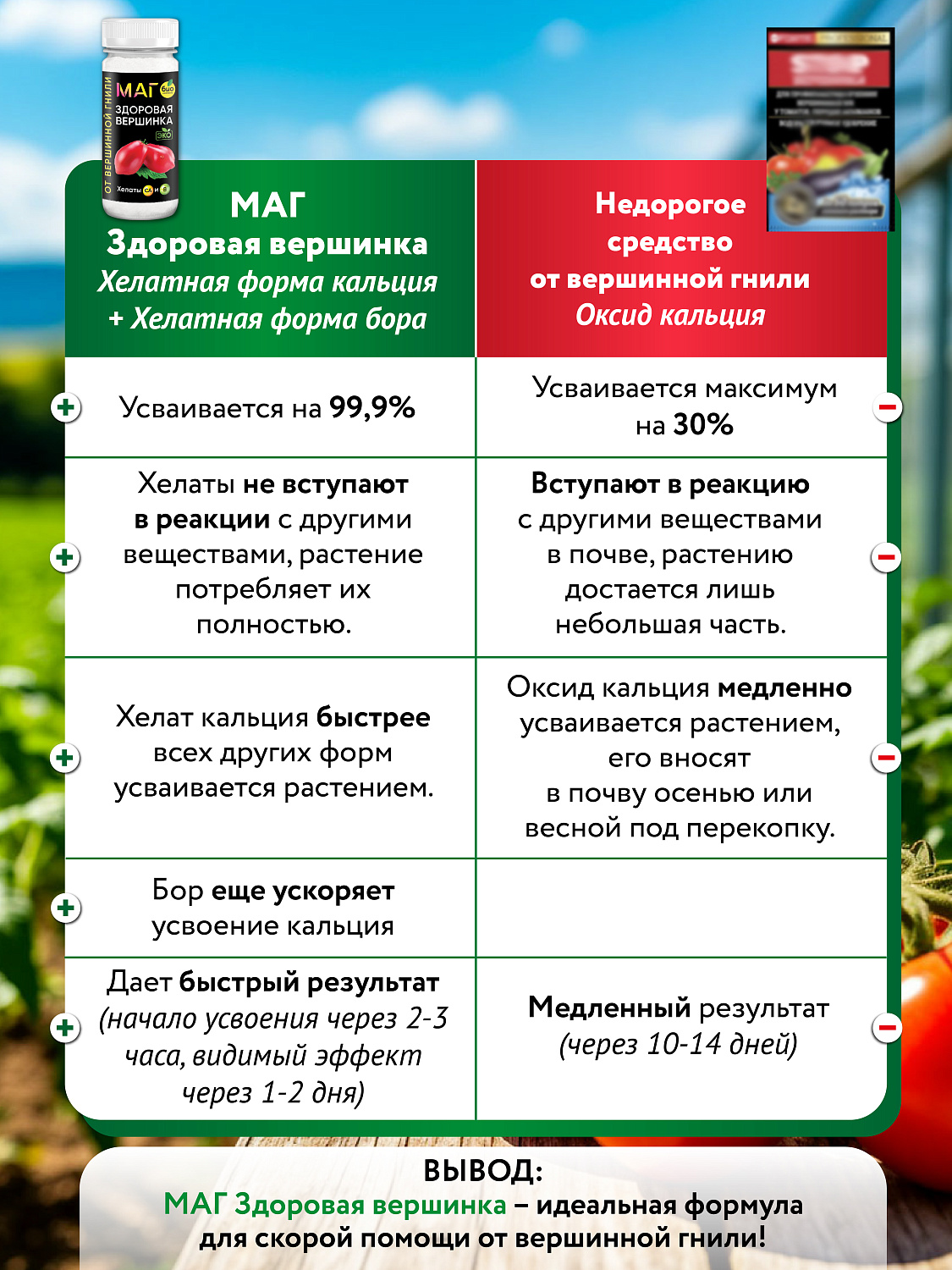 БИО-комплекс Здоровая вершинка, ТМ МАГ, 75 г [16]