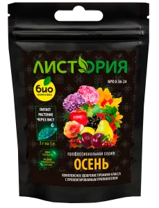 Осень