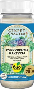 Mockup_Суккуленты_01