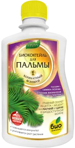 Пальма_250 лицо