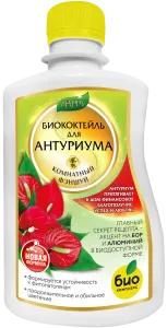 Антуриум_250 лицо Антуриум_250 лицо