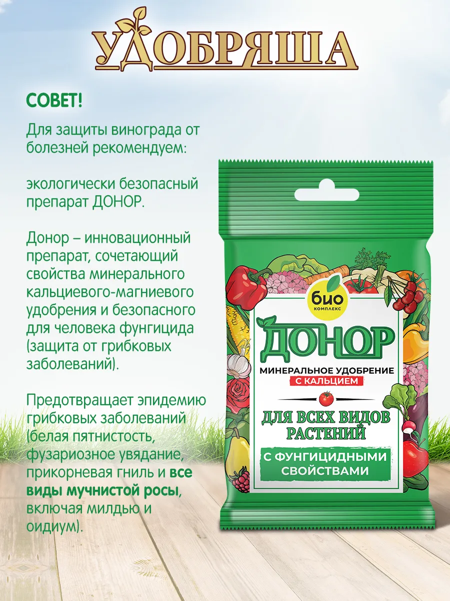 БИО-комплекс Удобрение органическое для винограда, ТМ Удобряша