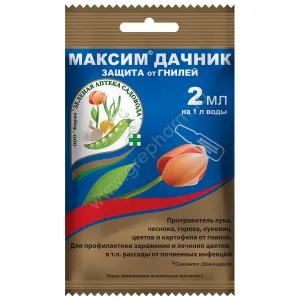 максим дачник