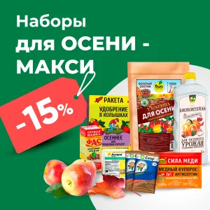 Набор-Макси