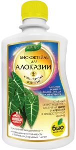 Алоказия_250 лицо Алоказия_250 лицо