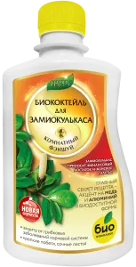 Замиокулькас_250 лицо