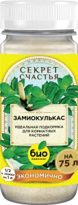 Mockup_Замиокулькас_01