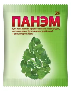 панэм