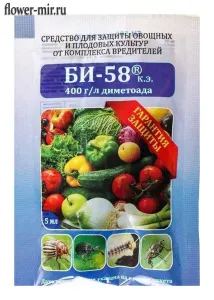 AzUP0cmnIVQ516ly AzUP0cmnIVQ516ly