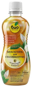 спатифиллум_лицо