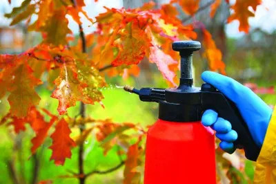 Осенние обработки сада