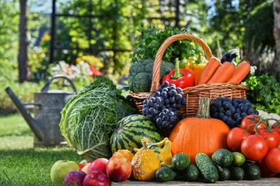 Повышаем плодородие почвы