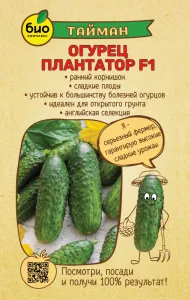 Огурец Плантатор F1