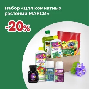 набор макси