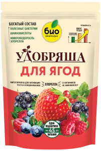 Ягоды_900г_без уголка