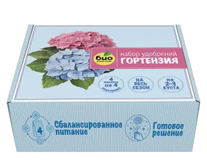 Гортензия-мокап-изометрия3