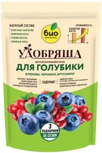 голубика