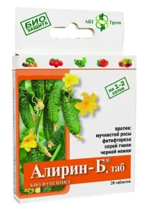 3zaV7Wv9dy0 3zaV7Wv9dy0