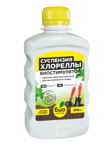 03 Хлорелла 250 ml 05.2022 дуга print бутылка перед