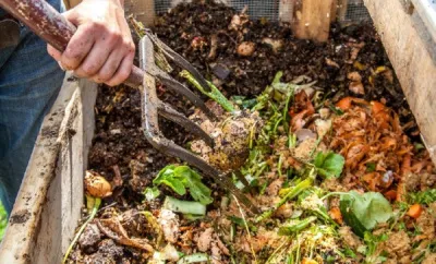 Правила хорошего компоста