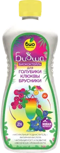 голубика