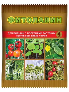 фитолавин фитолавин