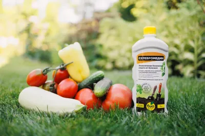 Как правильно и чем защищать растения для успешного выращивания?