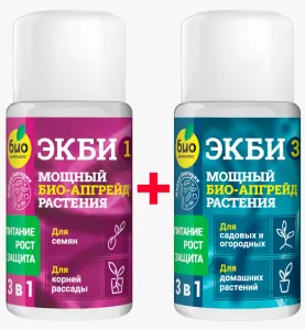 Изображение WhatsApp 2023-01-20 в 16.15.19