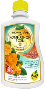 Роза_250 лицо