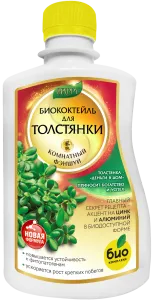 Толстянка_250 лицо Толстянка_250 лицо