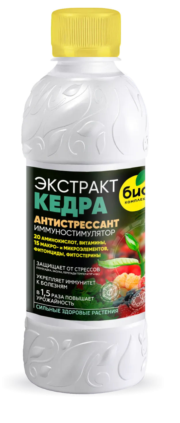 БИО-комплекс Экстракт Кедра