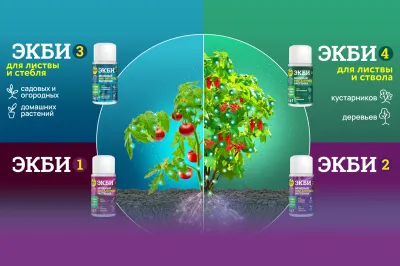 ЭКБИ - волшебные помощники каждого дачника