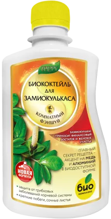 Замиокулькас_250 лицо
