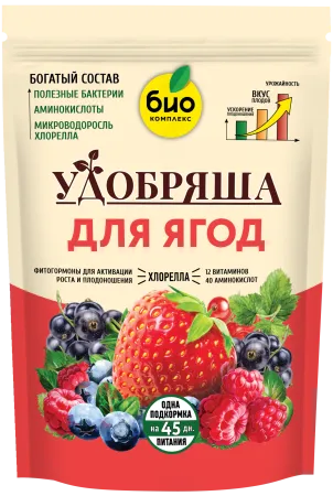 Ягоды_900г_без уголка