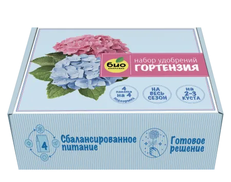 Гортензия-мокап-изометрия3