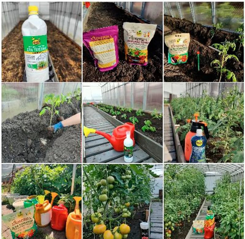 Фото из отзыва «Дачная культура»
