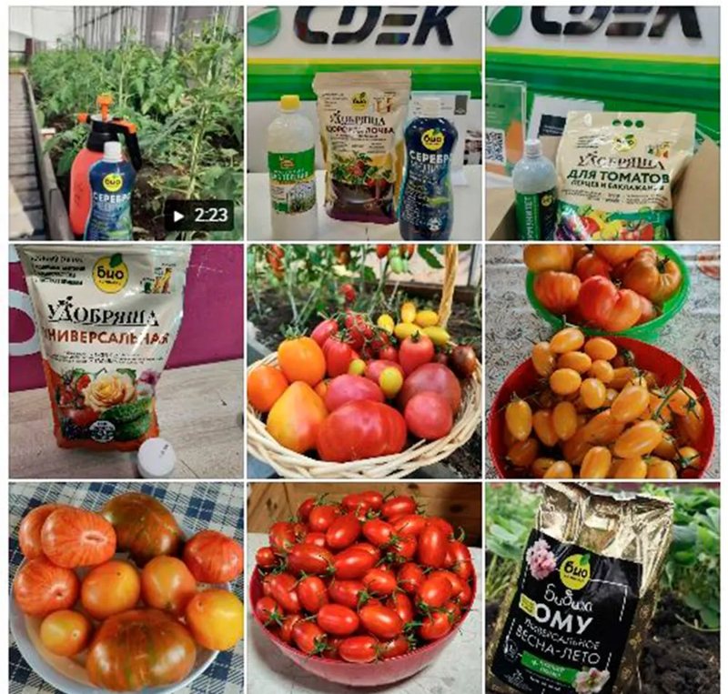 Фото урожая из отзыва «Дачная культура»